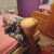 Çankaya Kendi Yeri Olan Escort Yaren - Image 8